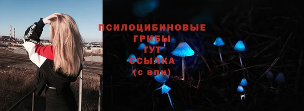 стаф Алексеевка