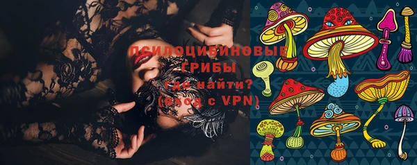 винт Алексин