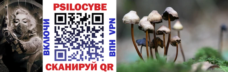 купить наркотики цена  Суджа  Псилоцибиновые грибы Psilocybe 